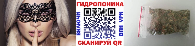  COCAIN Куртамыш