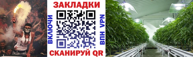 Купить НБОМе  Мефедрон  A-PVP  Метадон  Гашиш  АМФЕТАМИН  COCAIN  Куртамыш